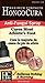 Hongo Cura Maximum Strength Anti-fungal Spray 2 Fl Oz for Athlete's Foot, Jock Itch, Ringworm, Itching and Burning