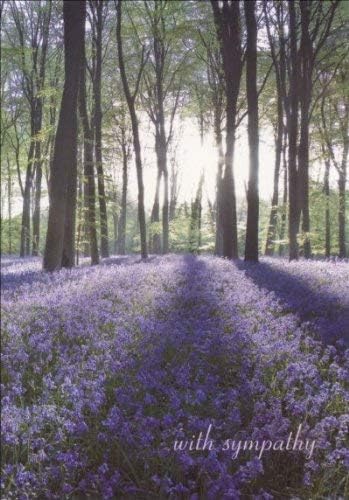 Shining Light - Sympathy Card (Woodmansterne), White, 12.9 x 17.9 cm