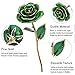 24K Green Rose for Her, Eternal Love Real Gold Plated Rose Flower, Best Present for Wife/Mom/Girlfriend Anniversary, Wedding, Birthday, Graduation (Green)