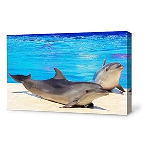Canvas Wall Art Lovely Dolphin Canvas Prints Home Artwork Decoration for Living Room,Bedroom - 12x18 inches