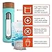 pH Hydrate Glass Alkaline Water Filter Bottle - Portable Alkaline Water Filter Ionizer - Filtered Water Bottle - Increase pH, Reduce Fluoride, Remove Heavy Metals & Chlorine, New 2018 (10oz/300ml)