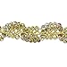 Trims by the Yard Lila Sequin Loop Braid Trim | Gold|1.5