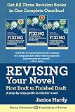 Revising Your Novel: First Draft to Finished Draft: A step-by-step guide to revising your novel (Foundations of Fiction)