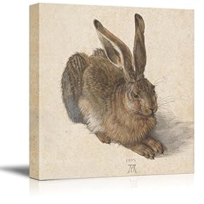A Young Hare by Albrecht Durer - Canvas Print