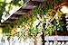 3.6 FT Wisteria Artificial Flowers Fake Hanging Wisteria Vine Ratta Silk Flowers for Home Wedding Party Decor, 24 Pieces