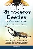 Rhinoceros Beetles as Pets and Hobby - Complete Owner's Guide.: Facts, lifespan, habitat, diet, care by Peter Bari