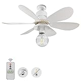 Soket Fan Light with Remote, 16.5 inch Flush Mount