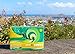 Green Tea Hawaii - 60packets - 30 Day Supply