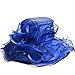 Womens Kentucky Derby Church Dress Wedding Floral Tea Party Hat S056