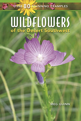Wildflowers of the Desert Southwest by Meg Quinn
