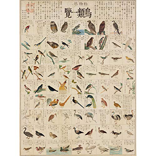 Artery8 Kato Chikusai Species of Birds Japanese Art Print Canvas Premium Wall Decor Poster Mural