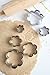Fox Run Flower Cookie cutters, 6 piece, Metallic,3621