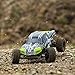 ECX AMP MT 1:10 2WD Monster Truck: Black/Green RTR