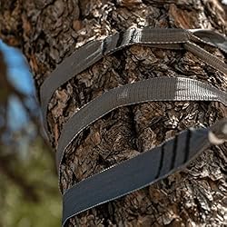 Hummingbird Hammocks Tree
