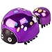 Character Options Little Live Pets Ladybug and Baby Beam Bug