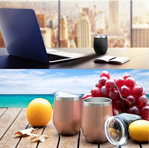 6 Insulated+Stainless+Finish+Double+Champaign+SUNWILL