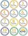 Best Holiday Gift!! Kinokyo 24 Pack Baby Monthly Stickers | 12 Month Milestone Stickers and 12 First Holiday Stickers | Includes Newborn and First Tooth Milestones | Great Baby Shower Registry Gift |