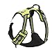 EXPAWLORER Best No-Pull Dog Harness. 3M Reflective Outdoor Adventure Pet Vest with Handle. 3 Stylish Colors and 5 Sizes.