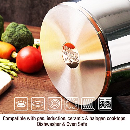 HOMI CHEF Mirror Polished Copper Band NICKEL FREE Stainless Steel 4.5 Quart Stock Pot with Glass Lid (No Toxic Non Stick Coating, 9.5 Inch)