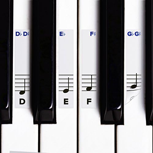 Piano Stickers for Keys w/ Complete Printed Notes on Grand Staff โ Removable w/ Double Layer Coating for 49 / 61 / 76 / 88 Keyboards