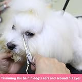 HASHIMOTO Small Dog Grooming Scissors 5.0 in Rounded Tips Micro-Serrated view 4