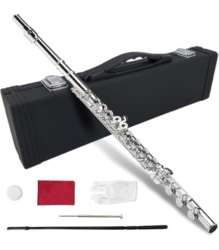 Amazon.com: TOYAMA AULOS AF-3 Baroque Traverso Flute, ABS Plastic