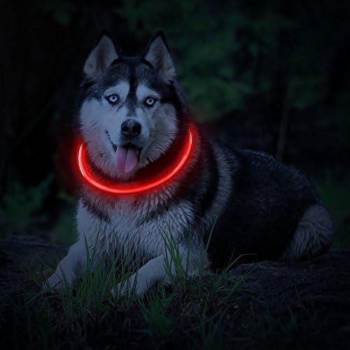 LED Pet Dog Collar-USB Rechargeable LED Light-Up Safety Neck Loop Waterproof Night Safety Pet Dog Collar (Red)