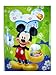 Disney Mickey Mouse Passport Covers / Passport Holder  