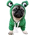 ANIAC Pet Hoodie Cat Rabbit Outfit with Bunny Ears Cute Sweatshirt Spring and Autumn Puppy Knitted Sweater Kitty Soft Knitwear (Green, Large)