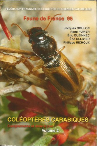 Coléoptères carabiques