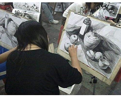 Soucolor 18PCS Sketching Pencil with 3 Charcoal Pencil 2 Eraser 3 Paper Pens 1 Pencil Sharpener 1 Pencil Extender and 1 Pencil Wrap Set Art Craft for Drawing Sketching,Artists Getting Started Young artist student or Any budding artists