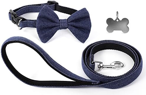 Funky Berries Denim Nylon Leash with Padded Handle and Matching Bow Tie Dog Collar Set Including Pet ID Tag Bone Shaped. Adjustable Collar for Medium Dog