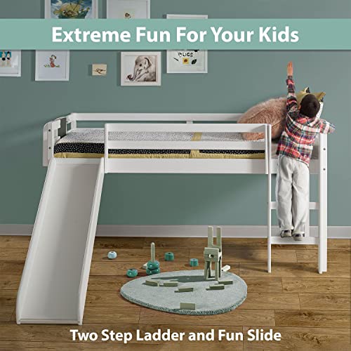 Naomi Home Cindy Kids Loft Bed with Slide, Twin Loft Bed with Slide
