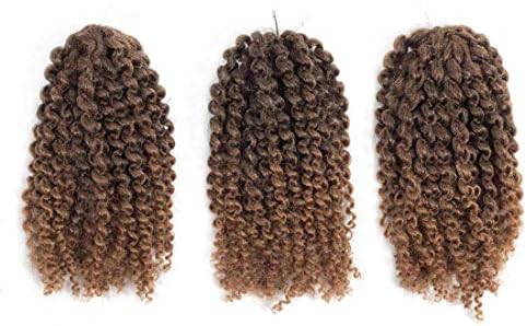 Short Crochet Curly Hair Braids Ombre Afro Kinky Curly Braiding