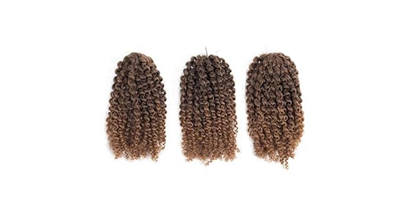 Short Crochet Curly Hair Braids Ombre Afro Kinky Curly Braiding