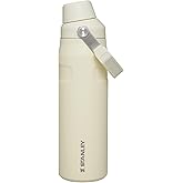 STANLEY IceFlow Fast Flow Bottle, 24 oz, Cream Glimmer | Angled Spout Lid | Lightweight and Leakproof for Travel and Sports | Easy Carry Handle | Insulated Stainless Steel | BPA-Free