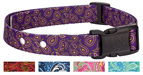 Country Brook Design Purple Paisley Replacement Collar For Dog Fence Receivers