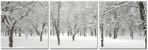 SLS Vision. First Snow. 48 x 16 inches. Ready to Hang. Contemporary Art Modern Wall Decor, 3 Panel Commercial Grade Machine Framed Giclee Canvas Print. Home Decoration Painting. A1099