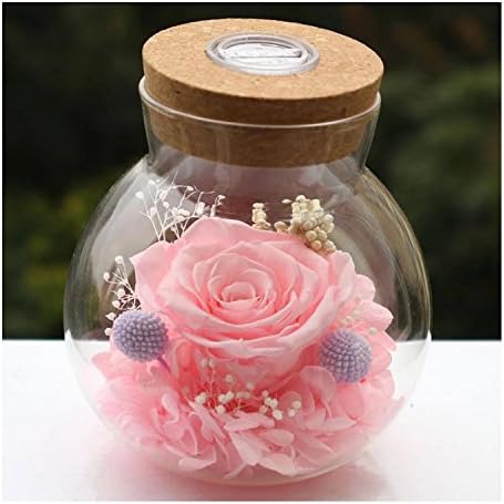 Jingfulin Handmade Eternal Flowers with led light Wishing Bottle Eternal Life Flowers Gift for Valentine's Day Mother's Day Anniversary Birthday wedding