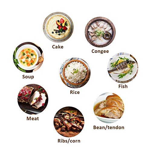 5 Pressure+Instant+Multi+Use+Programmable+Non+stick