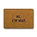 NINNAYUAN Hi I'm Mat_ Lovely Outdoor/Indoor Doormat(23.6x15.7 inch) (Brown)