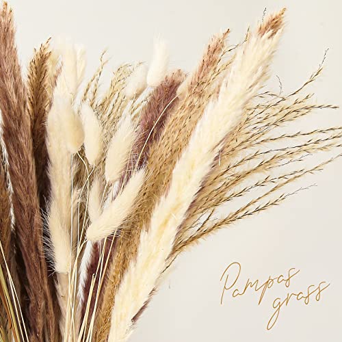 JOHOUSE 60pcs Dried Pampas Grass,White Brown Pampas Reeds Dried Bunny Tails Flowers Vase Boho Home Decor