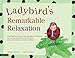 Ladybird's Remarkable Relaxation: How children (and frogs, dogs, flamingos and dragons) can use yoga relaxation to help deal with stress, grief, bullying and lack of confidence