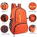 OXA Ultralight Foldable Daypack Packable Backpack, Durable Hiking, Travel Backpack