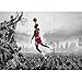 MICHAEL JORDAN NBA SLAM DUNK HUGE GIANT PICTURE POSTER ART JM072