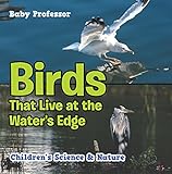 Birds That Live at the Water's Edge | Children's Science & Nature by 