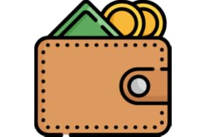Money Manager Pro