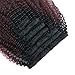 Sassina Seamless Two Tone Ombre Afro Kinky Curly Human Hair Extensions Double Wefts Clip on Remi Hair Natural Black Fading into Cherry Wine 120 Grams per Set With 7 Pieces 17 Clips ACTN99J 14 Inch