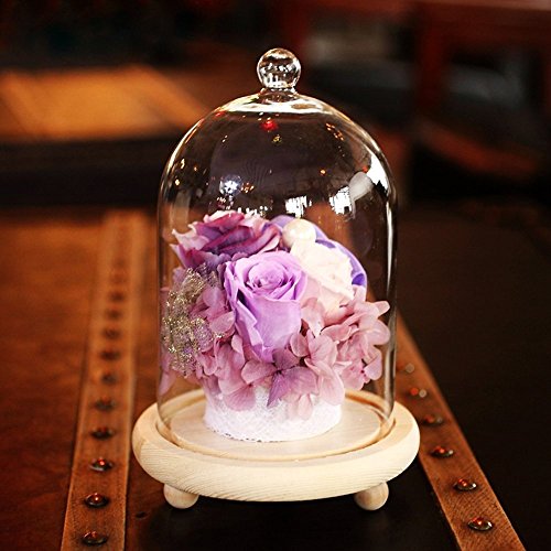 Reelva Decorative Clear Glass Cloche Bell Jar Display Case (Small) - Thumbnail 3