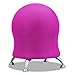 Safco Products Zenergy Stability Exercise Ball Chair